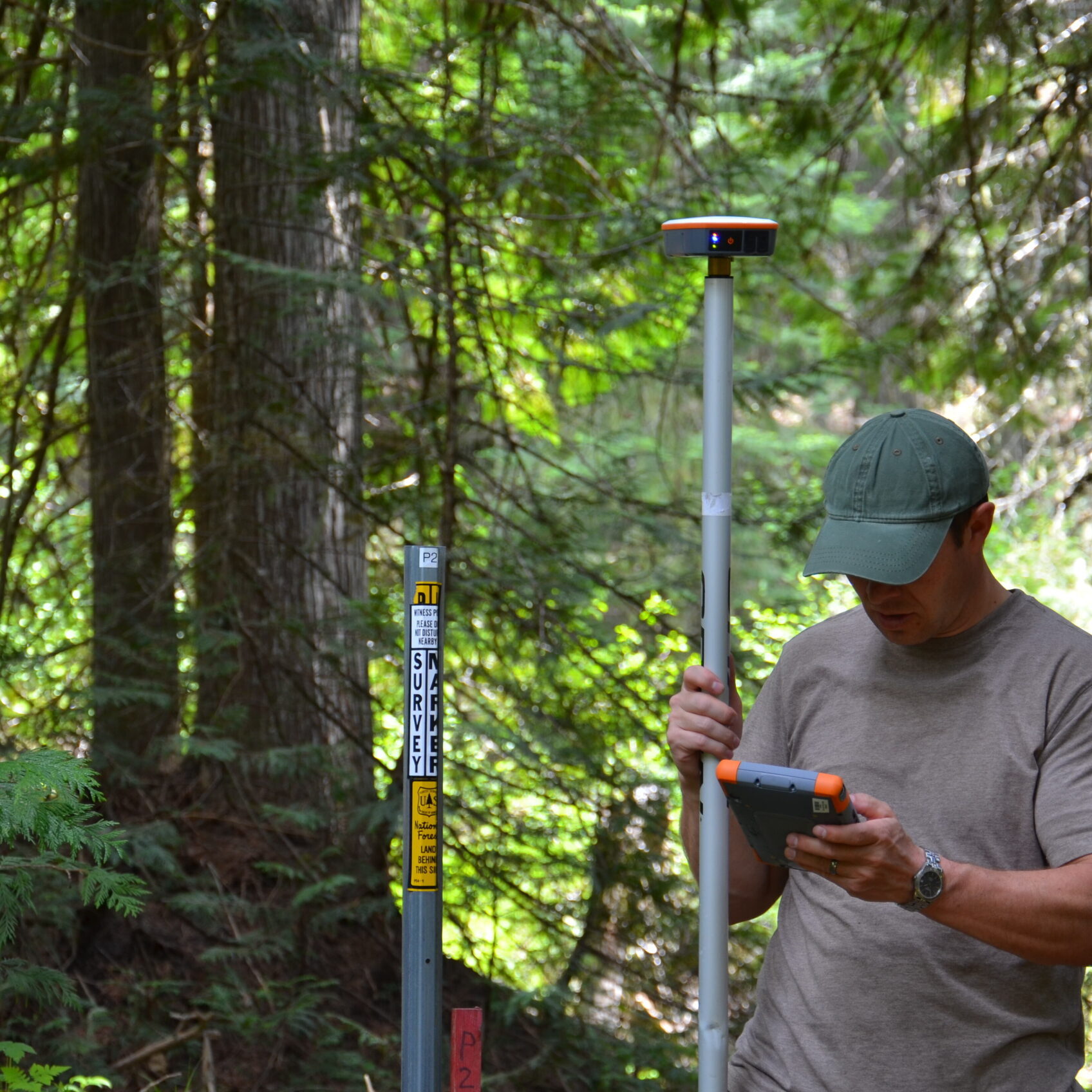 GPS forest