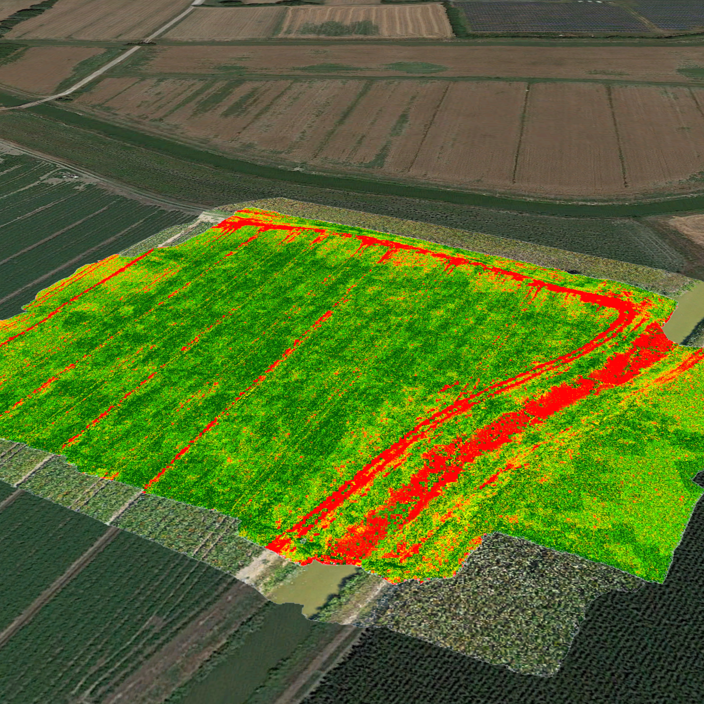 NDVI_1